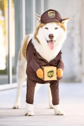 The best dog Halloween costumes - UPS delivery driver