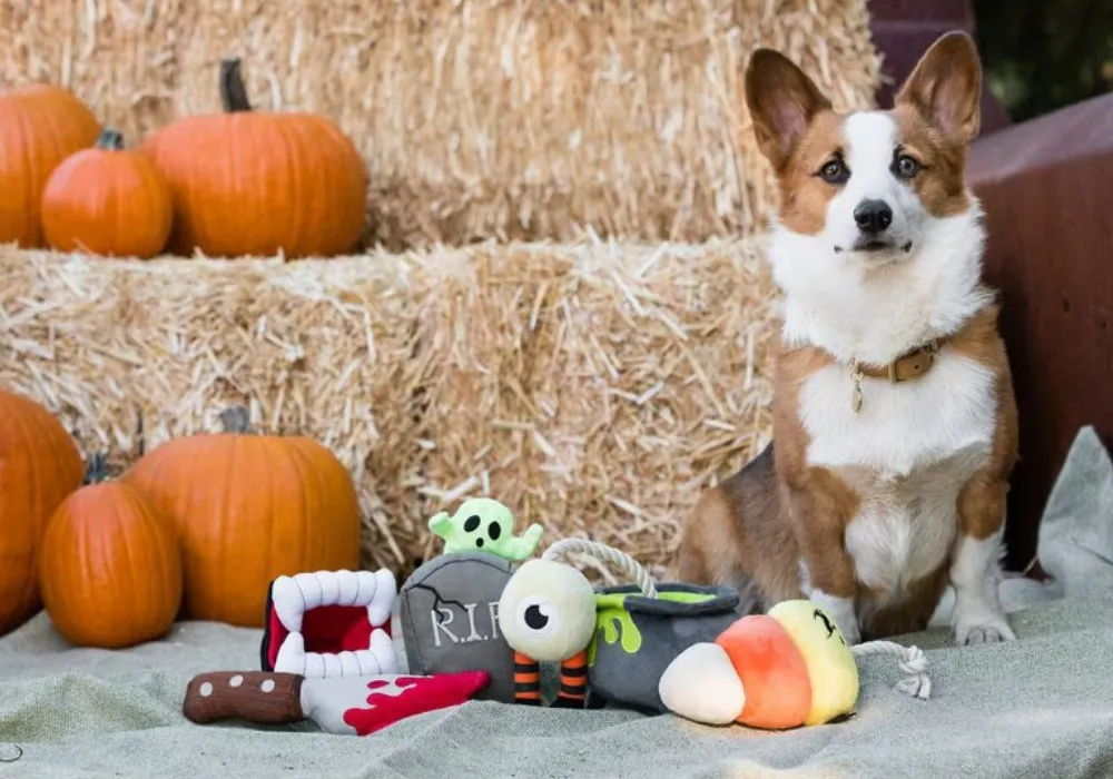 P.L.A.Y. Pet Lifestyle And You Howling Haunts Squeaky Dog Toy