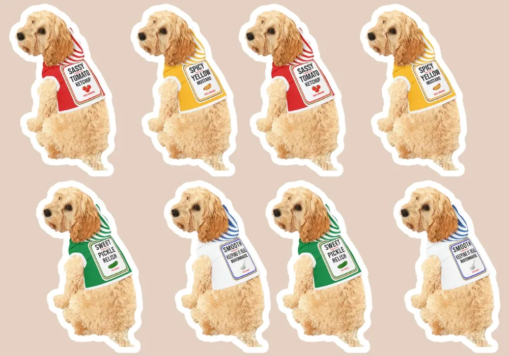Condiments Dog Hoodie