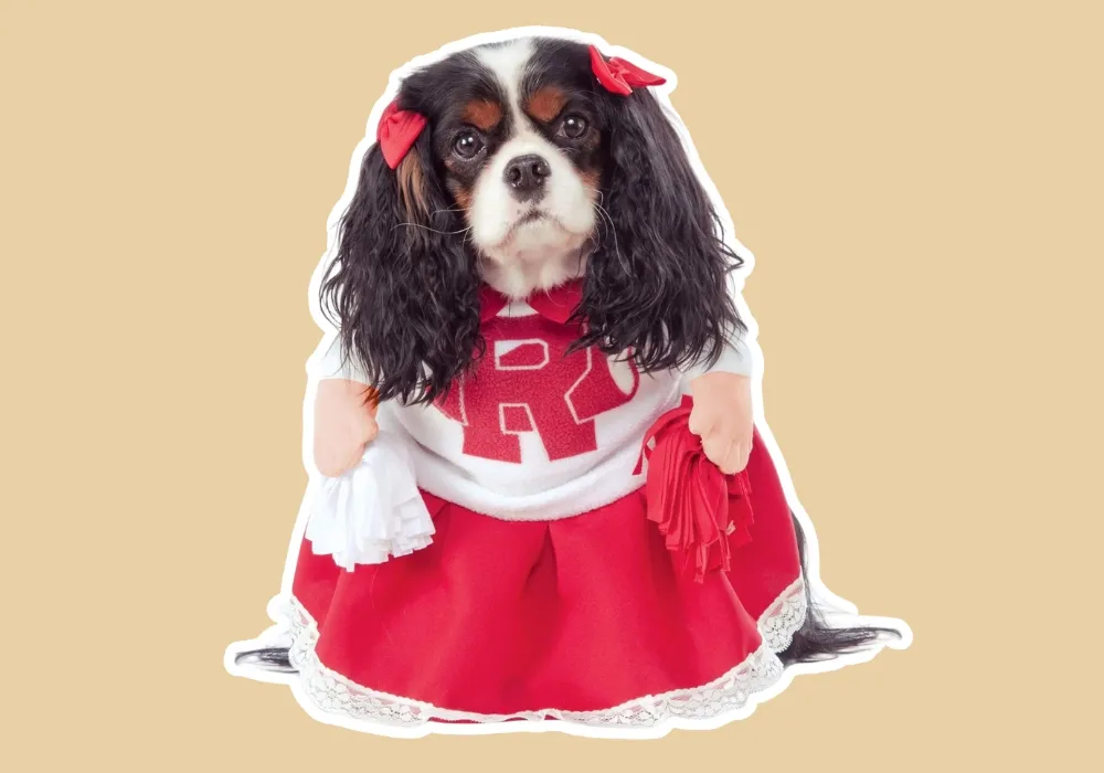 Rydell High Cheerleader costume for dogs