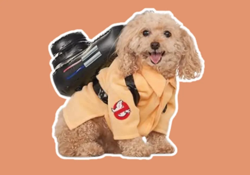 ghostbuster costume for dogs