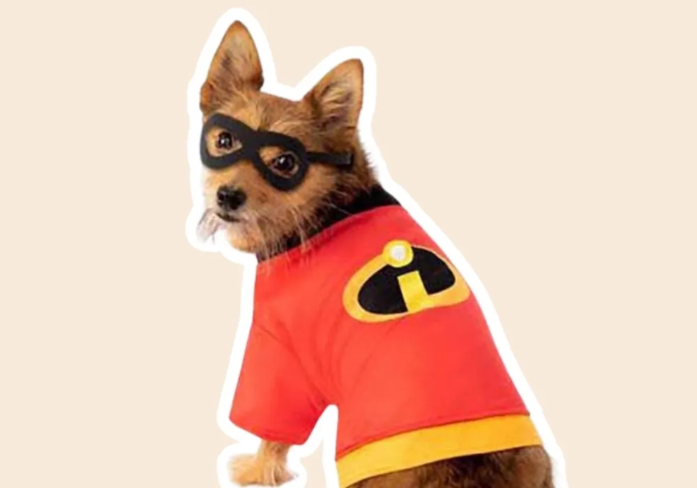 The Incredibles Dog Costume