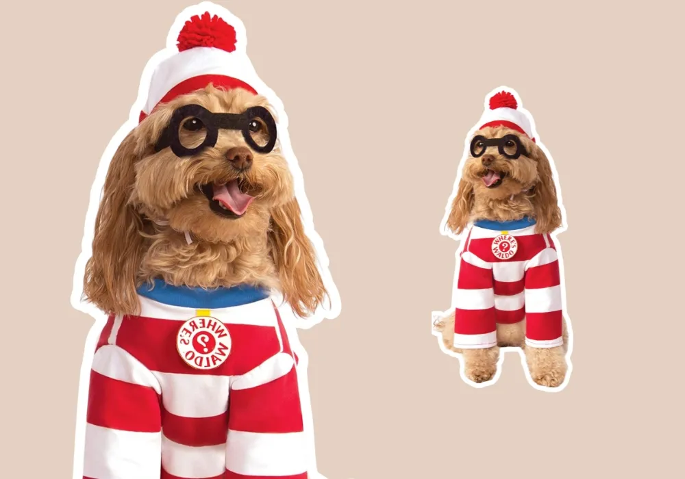 cute Where's Waldo dog costume