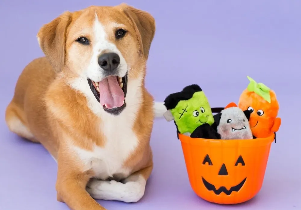 Zippy Paws Halloween Squeakie Buddies 3-Pack