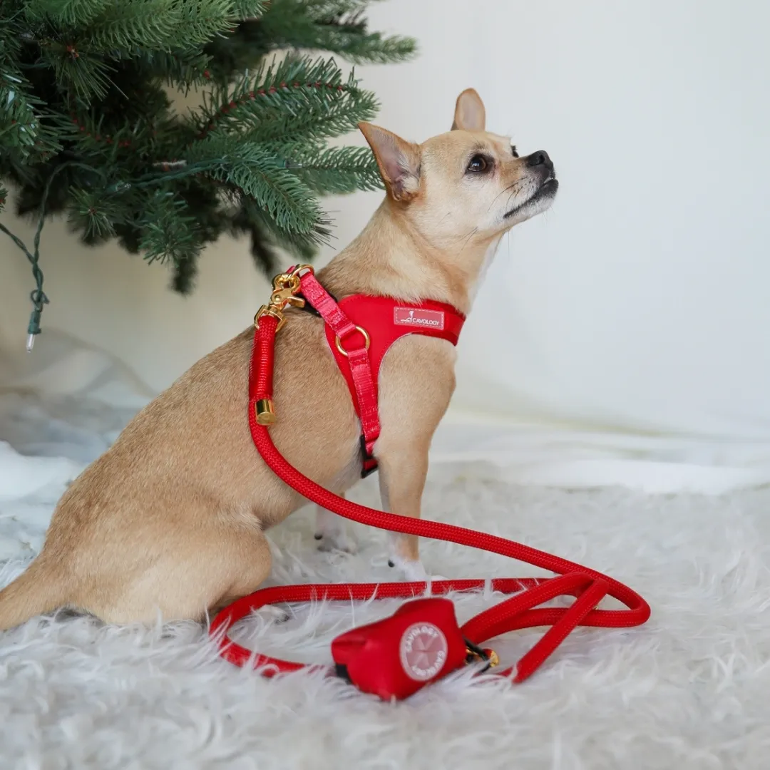 Christmas dog lead and harness set by Cavology