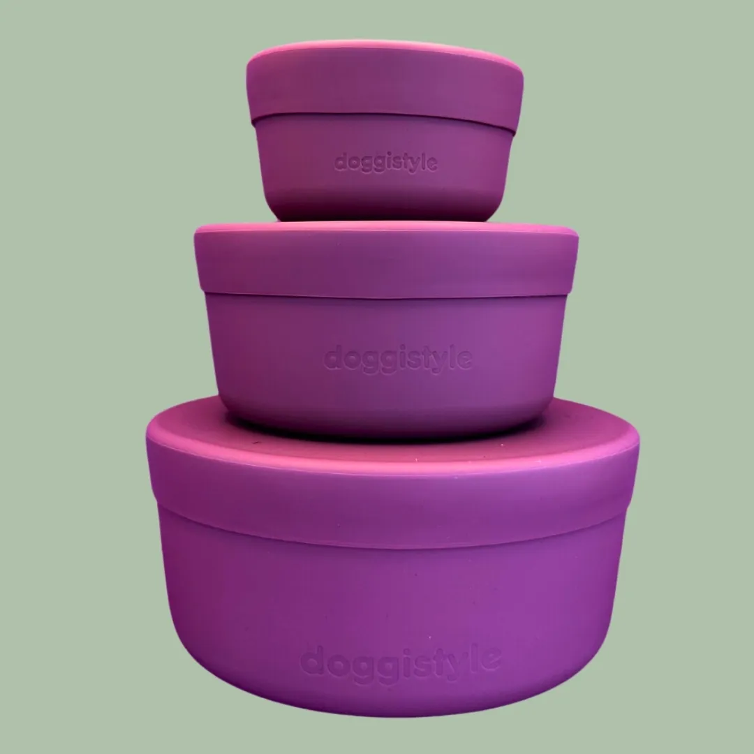 doggistyle Snack 'n Stash 3 Piece Set
