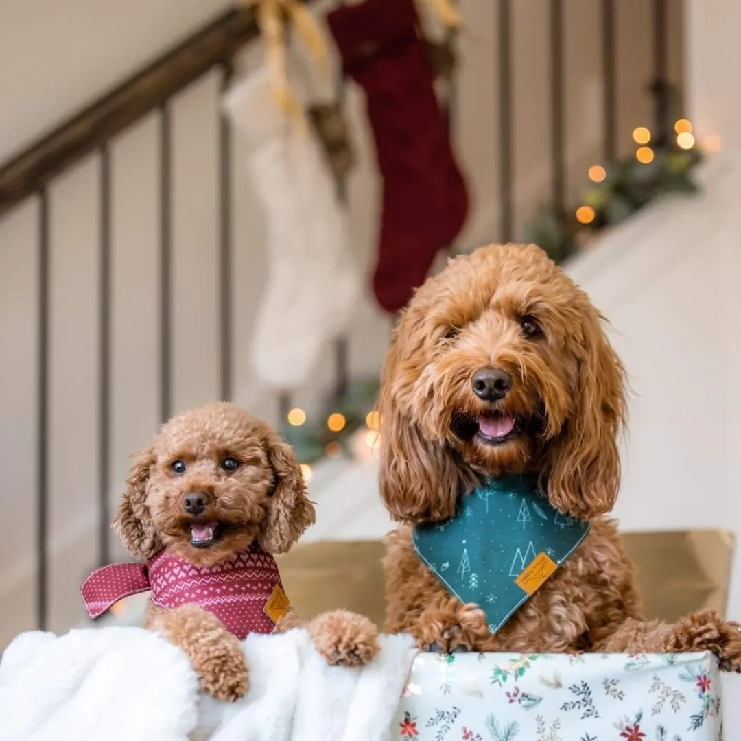 Christmas dog bandana by Remy & Roo - holiday gift ideas for dogs