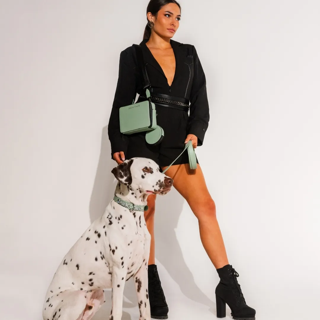 Stylish gift ideas for dog lovers - Show Dawg Anywhere Dog Walking Bag