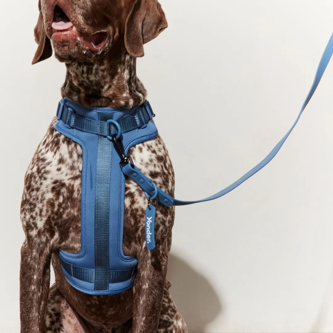 Yonder Dog Accessories Set 