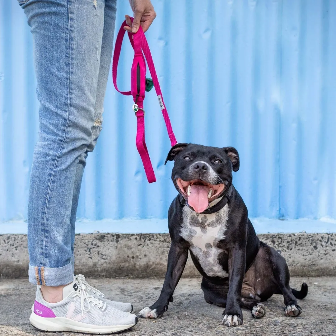 Dog lead with in-built poo bag holder by Ziippup