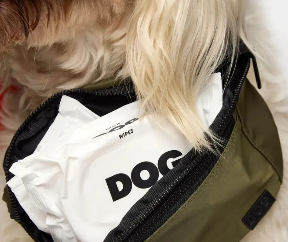 dog cleaning wipes - essential dog travel accessories