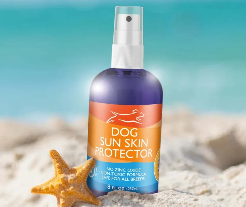 dog Sunscreen in the sand next to a starfish. A must-have dog travel product