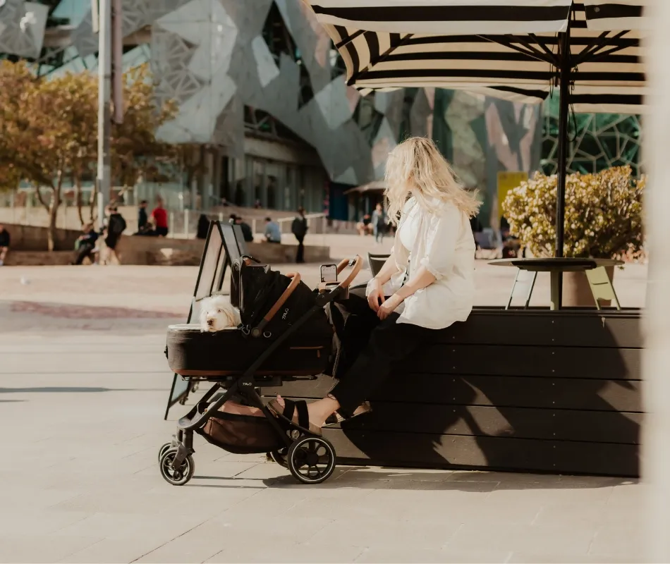 dog content in TAVO pet stroller in the city 