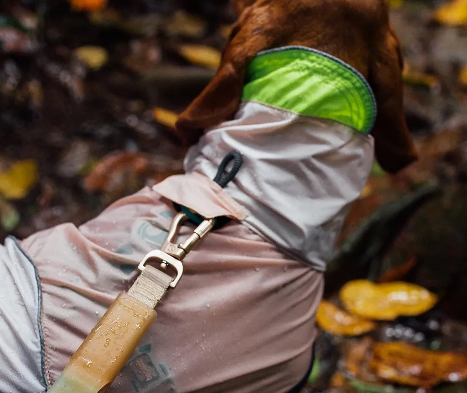 dog wearing dog raincoat by Zee.Dog
