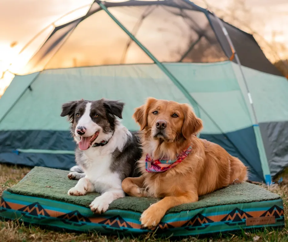 dog travel bed for camping