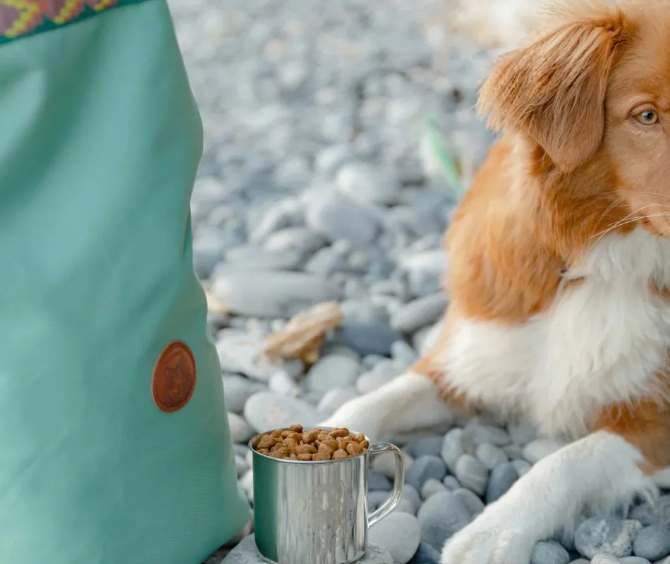 dog travel bag for food and kibble