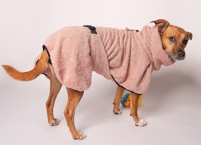dog wearing a dog towel bath robe
