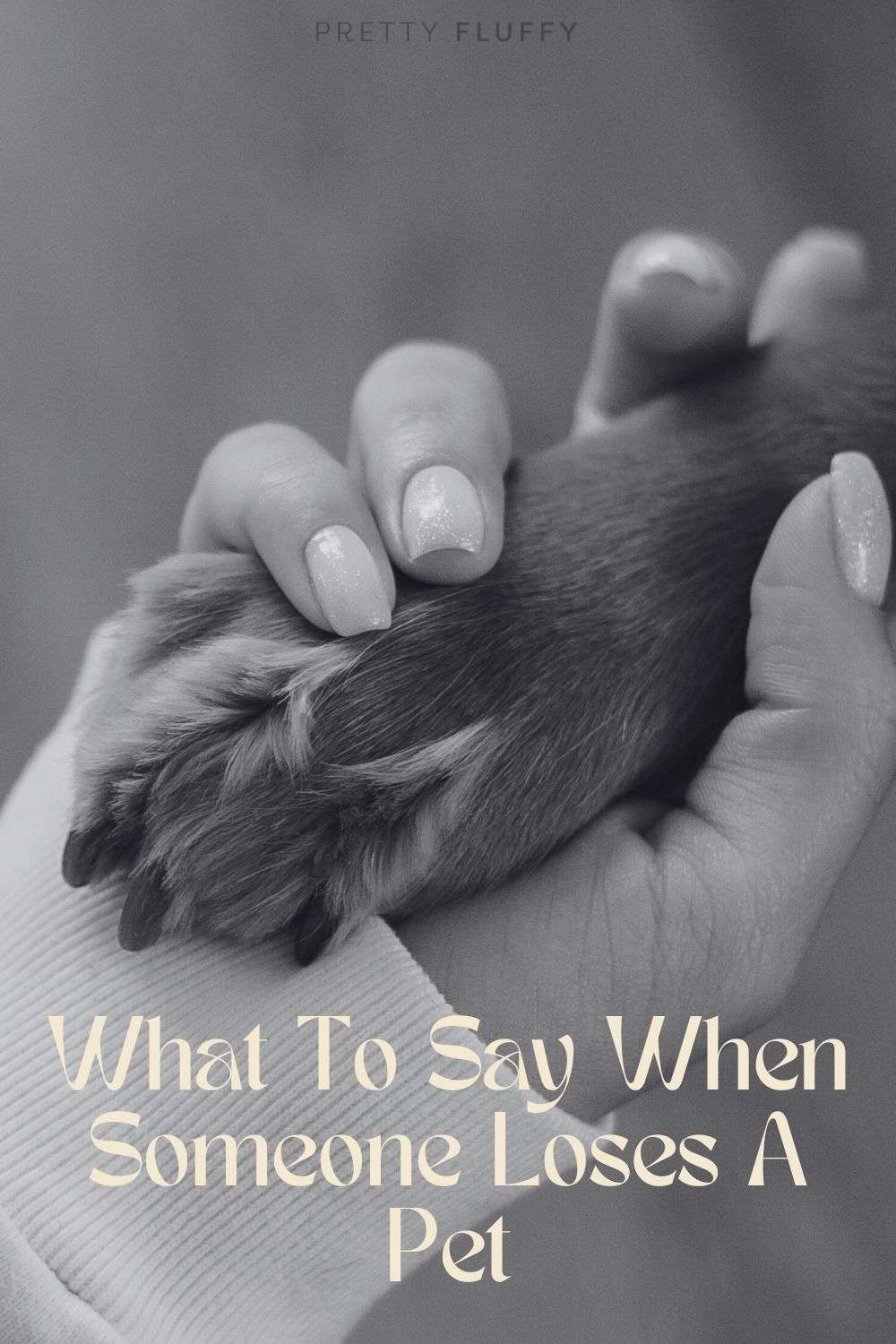 woman holding dog's paw - What To Say When Someone Loses A Pet